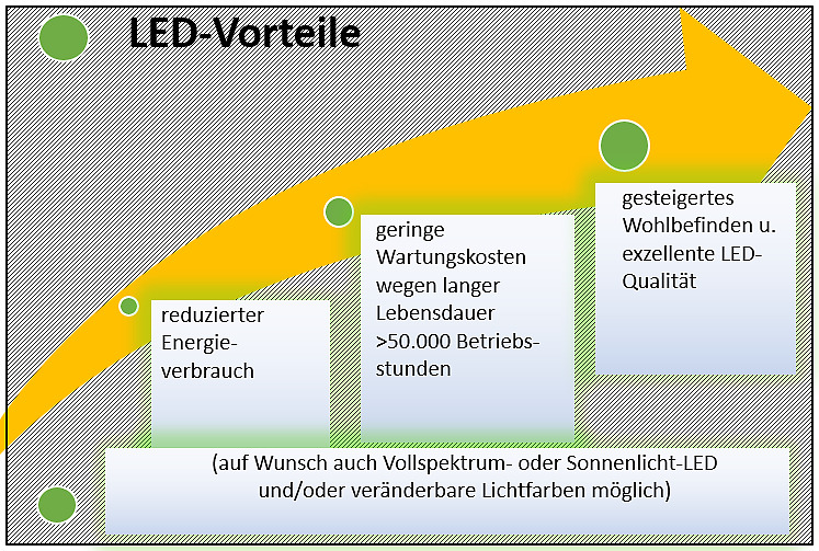 Vorteile LED Upgrade